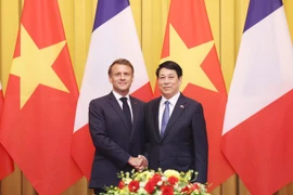 Президент Вьетнама Лыонг Кыонг и президент Франции Эммануэль Макрон позируют для фото перед началом переговоров. (Фото: ВИA)