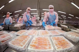 Рабочие обрабатывают креветки для экспорта. В январе креветки принесли доход в 300 миллионов долларов США, составив 39% от общего объема экспорта. (Фото: ВИA)