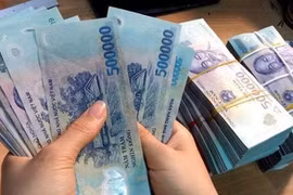 Доходы государственного бюджета от импортно-экспортной деятельности за первые 11 месяцев текущего года достигли 420,63 трлн донгов (15,95 млрд долларов США), увеличившись на 9% в годовом исчислении. (Фото: ВИА) 