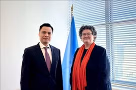 Постоянный представитель Вьетнама при ООН посол Данг Хоанг Жанг (слева) и заместитель Генерального секретаря ООН по правовым вопросам Элинор Хаммаршельд на встрече в Нью-Йорке 26 марта. (Фото: ВИA)