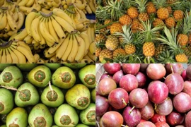 Маракуйя, бананы, ананасы и кокосы становятся следующими товарами вьетнамского экспорта стоимостью в миллиарды долларов