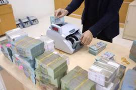 Власти будут осуществлять строгий мониторинг, чтобы поддерживать показатели долговой безопасности в пределах утвержденных пределов, способствовать развитию внутреннего рынка капитала и максимизировать объем ОПР и иностранных льготных займов. (иллюстративное фото: ВИA)