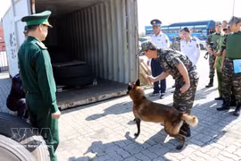 В ходе учений таможенных органов по борьбе с наркотиками демонстрируется применение контейнерных сканеров, служебных собак, портативных устройств для экспресс-тестирования наркотиков и специализированного оборудования для выявления наркотических веществ, спрятанных внутри грузового контейнера. Фото: ВИА. 