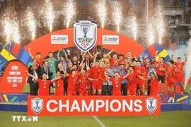 Новые лица сборной Вьетнама по футболу после успешного Кубка АФФ 2024