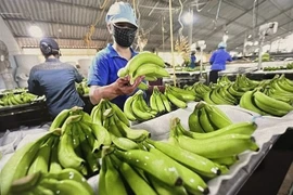 Иллюстративное изображение (Фото: ВИА) 