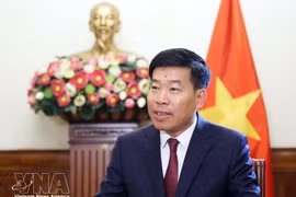Заместитель министра иностранных дел Вьетнама Нгуен Мань Кыонг. (Фото: ВИА) 