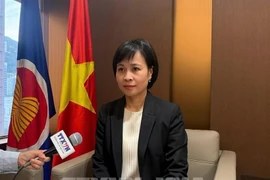 Генеральный консул Вьетнама в Гонконге (Китай) Ле Дык Хань. (Фото: ВИА)