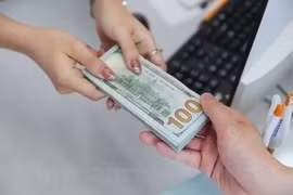 Из общего объёма запланированных заимствований около 60% будет направлено на покрытие дефицита государственного бюджета, а оставшаяся часть - на погашение основной суммы долга. (Фото: ВИА)