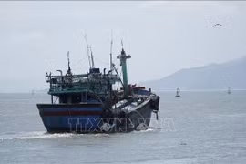 Рыболовное судно из провинции Зялай выходит в море. (Фото: ВИА)