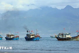 Повышение осведомленности населения о ННН-промысле стало одной из ключевых задач пограничной службы города Хюэ. (Фото: ВИA)