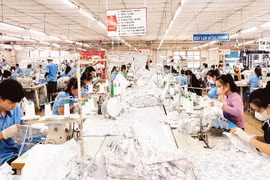 Производство швейной продукции на экспорт на предприятии Hoa Tho Garment JS Corporation. (Фото: nhandan.vn) 