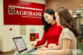Сотрудник Agribank инструктирует клиента по безопасному проведению цифровых операций. (Фото: qdnd.vn) 