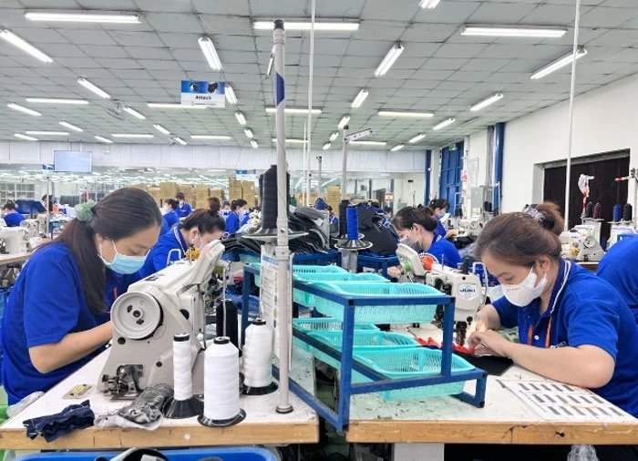 Рабочие компании Tri-Viet International Co., Ltd., 100% японской компании, расположенной в промышленном парке Tra Noc II, город Кантхо (Фото: qdnd.vn).