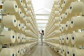 Линия по производству волокна текстильной компании Phu Tho Textile (Фото: ВИА)