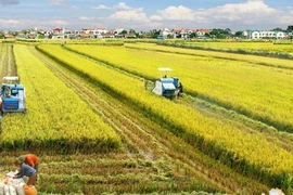 Иллюстративное изображение (Фото: ВИА)