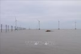 Турбины в море ветряной электростанции № 5 (община Тханьхай, район Тханьфу, провинция Бенче)