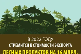 Стремится к стоимости экспорта лесных продуктов на 16 млрд. долл. США. в 2022 году 