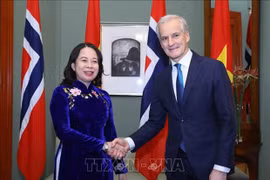 Вице-президент Во Тхи Ань Суан (слева) и премьер-министр Норвегии Йонас Гар Стор (Фото: ВИA)