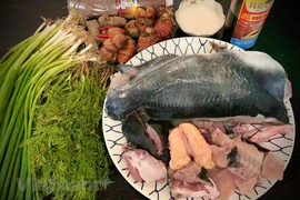 1 Чтобы приготовить Ча-ка Лавонг, ее нарезают небольшими кусочками, затем маринуют с куркумой, чесноком, луком-шалотом, сахаром и рыбным соусом. Рыбу заранее готовят на гриле или запекают, а потом просто обжаривают в раскаленной чугунной сковороде для пол