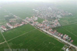 Вид с воздуха на рисовые поля в общине Хоашон в уезде Унгхоа в Ханое (Фото: ВИА)