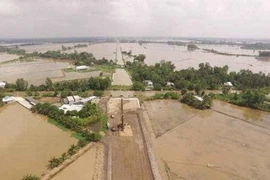 Вид с воздуха на регион в дельте Меконга (Фото: baotainguyenmoitruong.vn) 