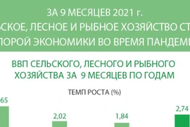 За 9 месяцев 2021 г. сельское, лесное и рыбное хозяйство стало опорой экономики во время пандемии