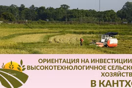 Ориентация на инвестиции в высокотехнологичное сельское хозяйство в Кантхо