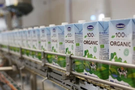 Vinamilk объявляет о рекордной квартальной выручке в размере более 16,2 трлн. донгов (706,57 млн. долл. США) в третьем квартале 2021 года (Фото: ВИА)