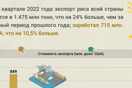 Экспорт риса в первом квартале достиг 715 млн. долл. США
