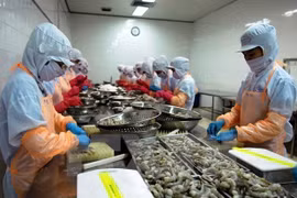 Экспорт продукции сельского, лесного и водного хозяйства за первые 9 месяцев составил 35,5 млрд. долл. США. (Фото: ВИА)