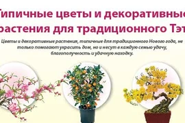 Типичные цветы и декоративные растения для традиционного Тэт