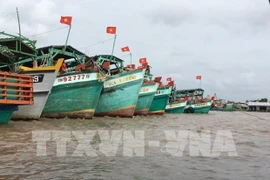 По состоянию на 30 ноября все 958 действующих рыболовецких судов были оборудованы приборами для мониторинга судов. 