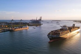 Судно MSC ALEXANDRA общим тоннажем 165.908 тонн, длиной 365,5 м пришвартовано в SSIT для выгрузки почти 12.000 ДФЭ груза. (Фото: ВИА) 