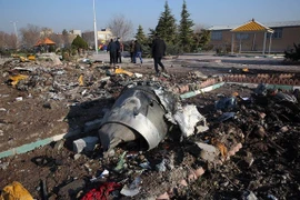Место крушения украинского самолета в Иране. (Источник: AP)