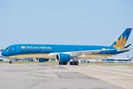 Самолет Vietnam Airlines (Источник: ВИА) 