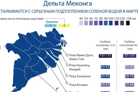 Дельта Меконга сталкивается с серьезным подтоплением соленой водой в марте