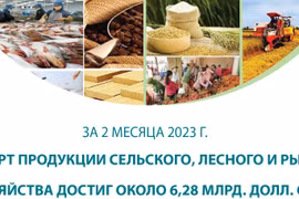 Экспорт продукции сельского, лесного и рыбного хозяйства достиг около 6,28 млрд. долл. США за 2 месяца 2023 г.