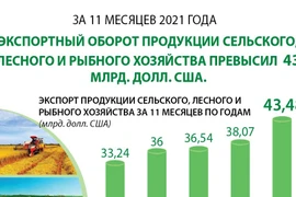 Экспортный оборот продукции сельского, лесного и рыбного хозяйства превысил 43 млрд. долл. США