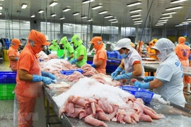 Экспорт морепродуктов достиг рекордных 11 млрд. долл. США в 2022 году, что на 24% больше по сравнению с прошлым годом и на 22% выше годовой цели в 9 млрд. долл. США. (Источник: ВИА)