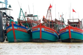 Бенче стремится развивать морскую экономику (Фото: baotainguyenmoitruong.vn) 