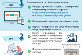 Какие процедуры необходимо пройти иностранцам для получения электронной визы во Вьетнам?