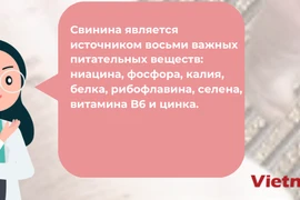 Вьетнам занимает 6 место в мире по производству свинины