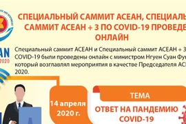 Специальный саммит АСЕАН, специальный саммит АСЕАН+3 по COVID-19