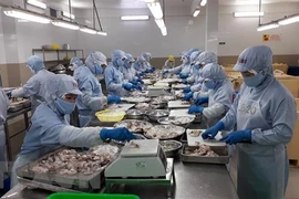 Переработка замороженных креветок на экспорт в компании Thong Thuan Cam Ranh Seafood в провинции Кханьхоа (Фото: ВИА) 