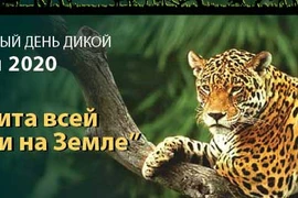 Всемирный день дикой природы 2020 подчеркивает важность биоразнообразия