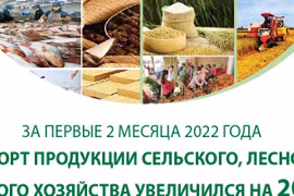 За первые 2 месяца 2022 года экспорт продукции сельского, лесного и рыбного хозяйства увеличился на 20,9%