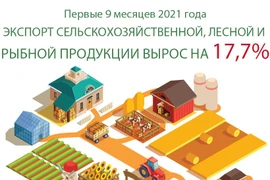 Экспортный оборот сельскохозяйственной, лесной и рыбной продукции вырос на 17,7% 