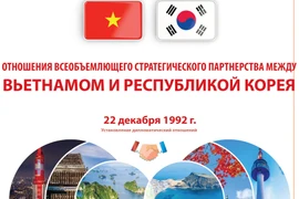 Отношения всеобъемлющего стратегического партнерства между Вьетнамом и Республикой Корея