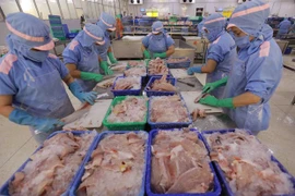 Рабочие перерабатывают пангасиус для экспорта в акционерном обществе Cuu Long Fish в провинции Анжанг. (Фото: ВИA)
