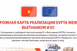 План реализации EVFTA между Вьетнамом и Европейским Союзом